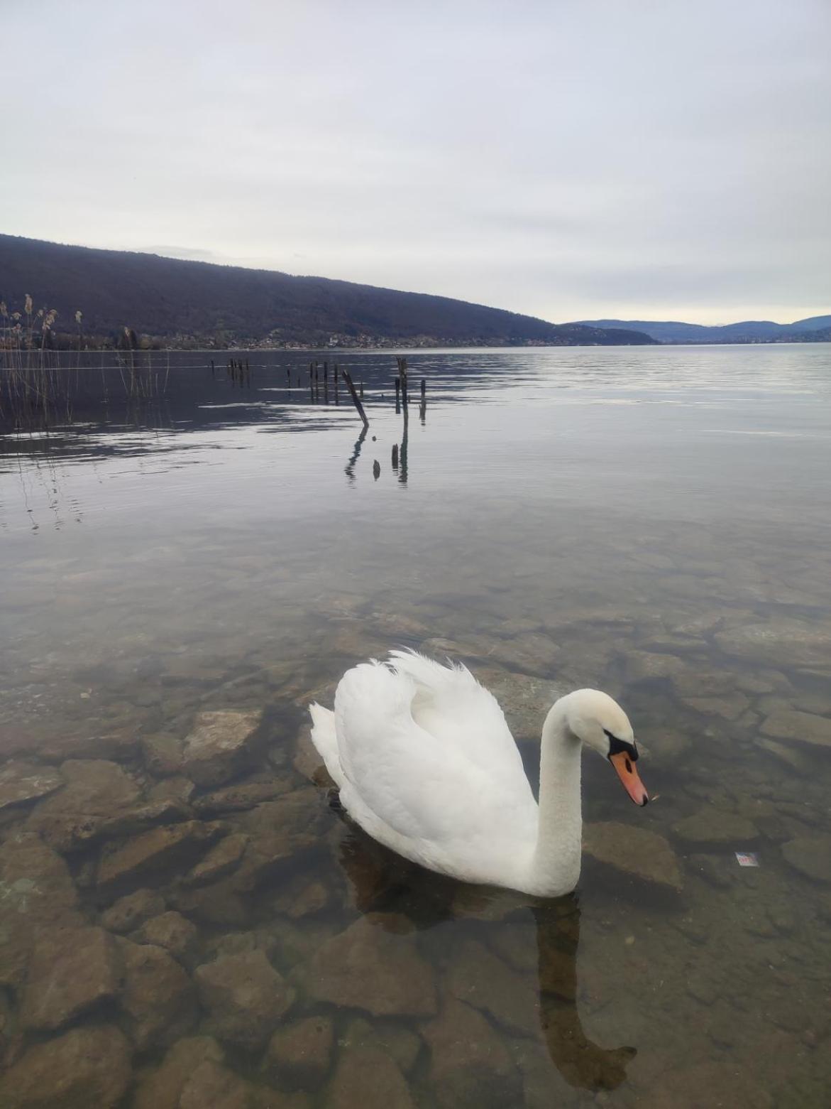 Chambre Atypique 2 Pers 200M Du Lac Saint-Jorioz Bagian luar foto